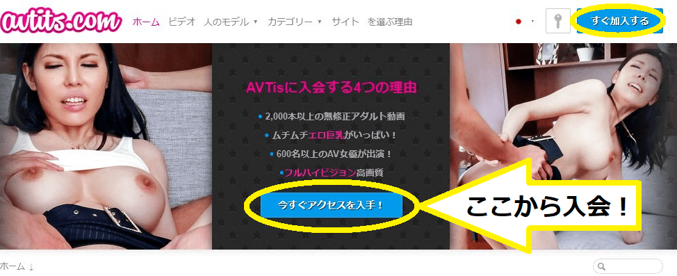 avtits-入会