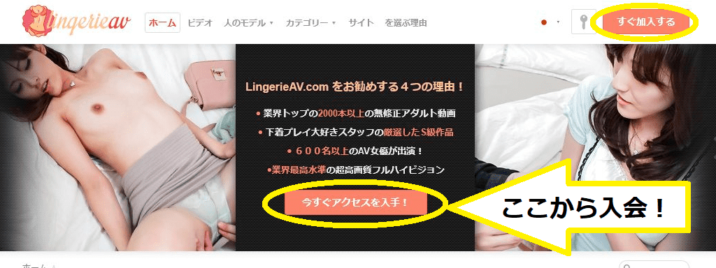 lingerieav-入会