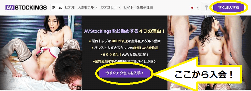 AV Stockings-入会